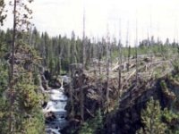 photos 2000-200900321